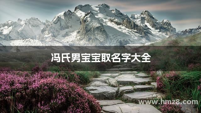 冯氏男宝宝取名字大全