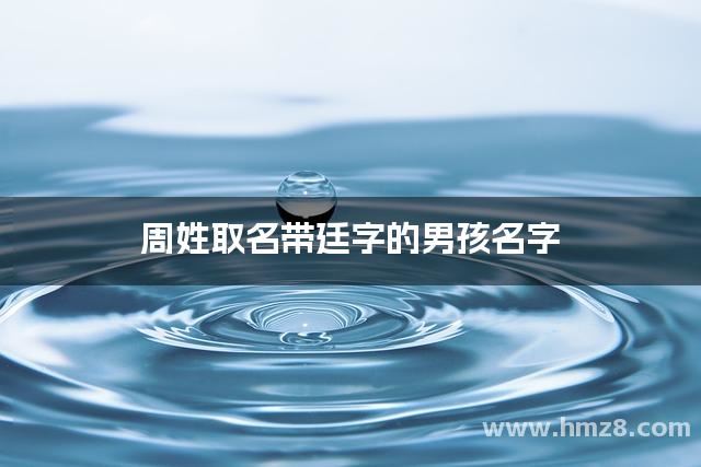 周姓取名带廷字的男孩名字 寓意健康聪明